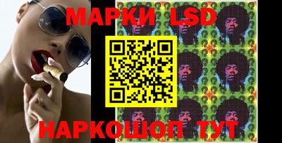 крисы Кудрово