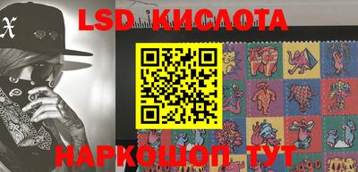 шишки Кузнецк