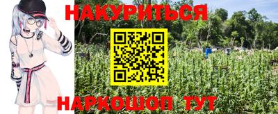 крисы Кудрово