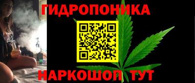 крисы Кудрово
