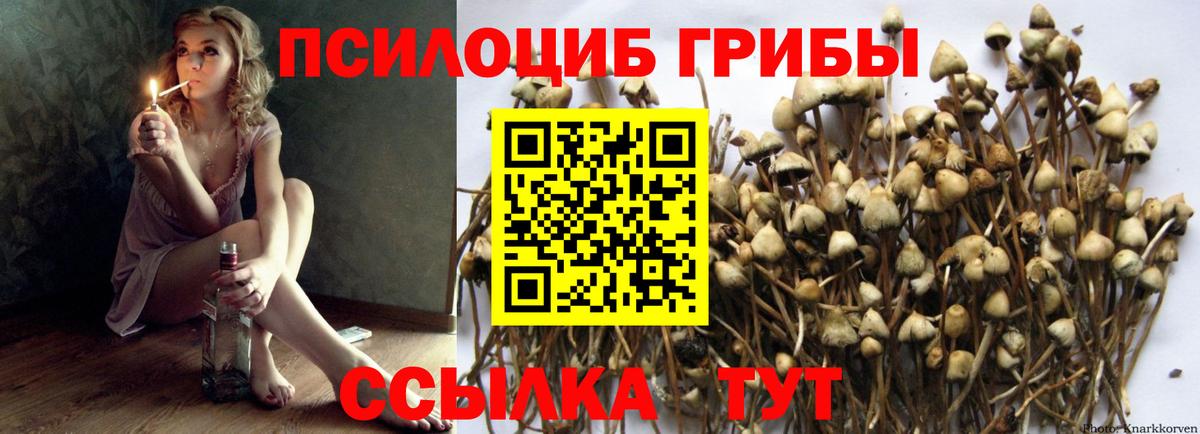 Вичуга  Псилоцибиновые грибы Cubensis  Галлюциногенные грибы GOLDEN TEACHER  Вход с VPN 