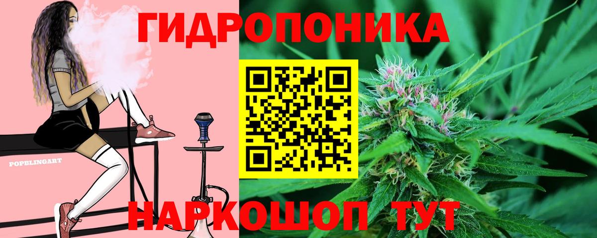 Вичуга  МАРИХУАНА SATIVA & INDICA  Вход с VPN  Шишки марихуана Bruce Banner  Канабис гибрид 